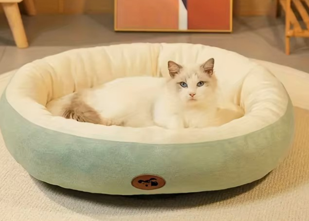 green calming pet bed with cat for comfort and sleep